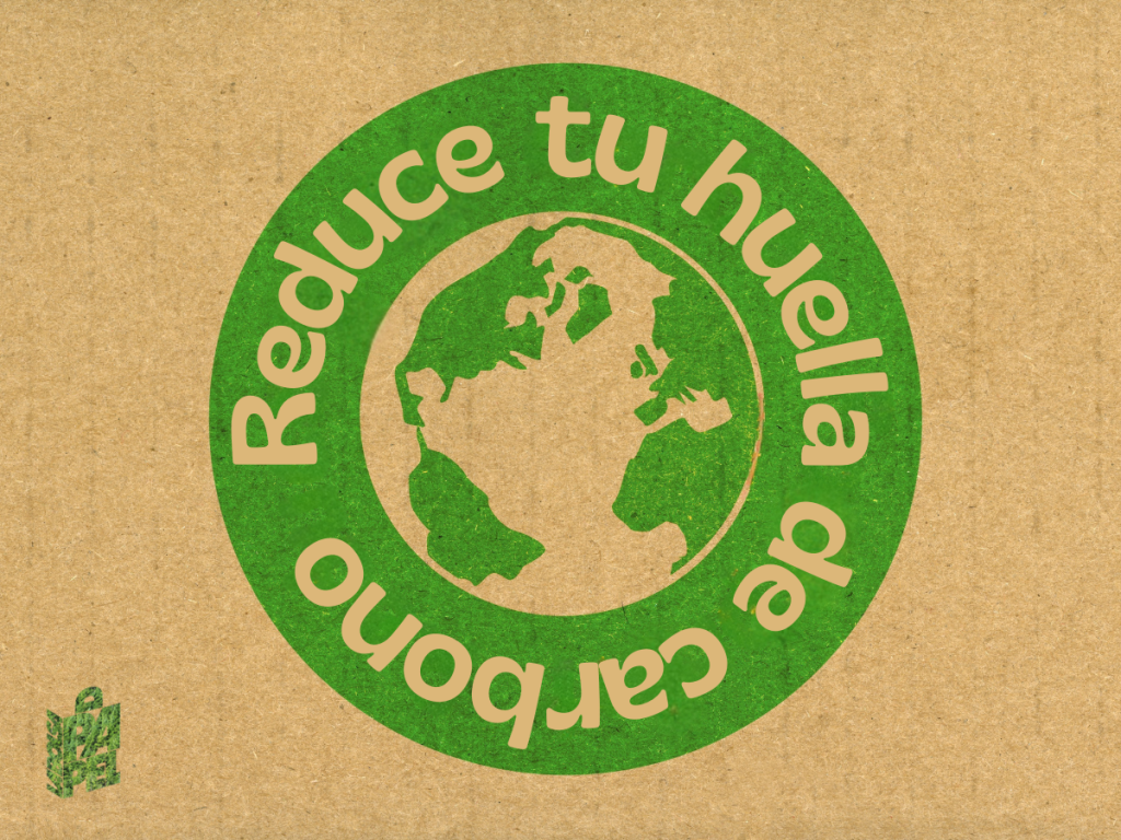 La Huella de Carbono del Papel: 7 Datos Clave que Revelan su Impacto Ambiental Positivo