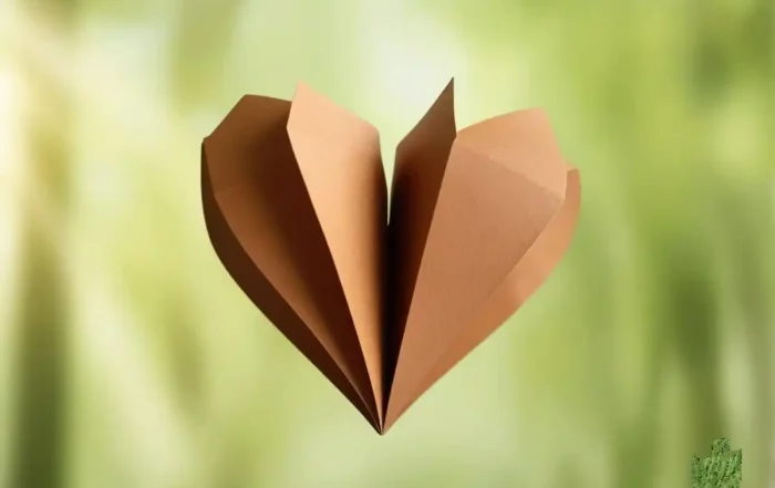 How to produce a paper bag with a positive environmental impact the value of the process