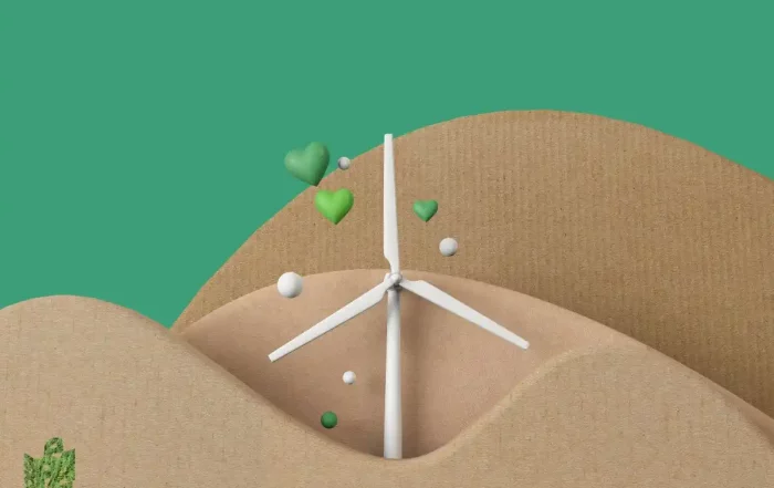 Quanto tempo duram os sacos de papel e como reutilizá-los melhor.